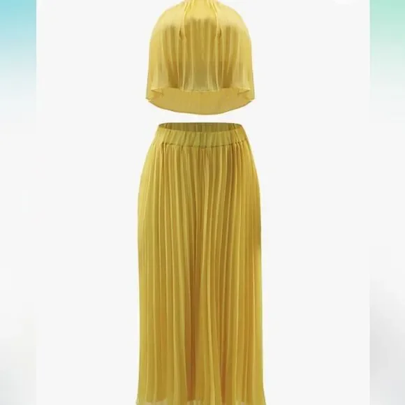 Two Piece Set Pleated Maxi Skirt and Crop Top - Picture 4 of 8